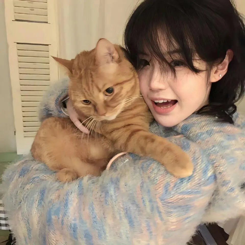 刁蛮小姐
